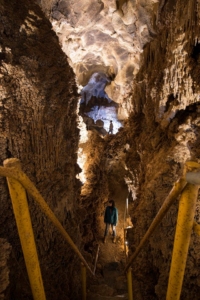 Cueva Llamazares